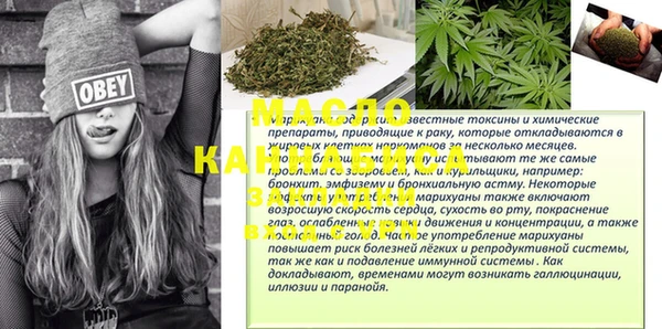 дмт Сатка