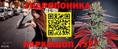 apvp Краснокаменск
