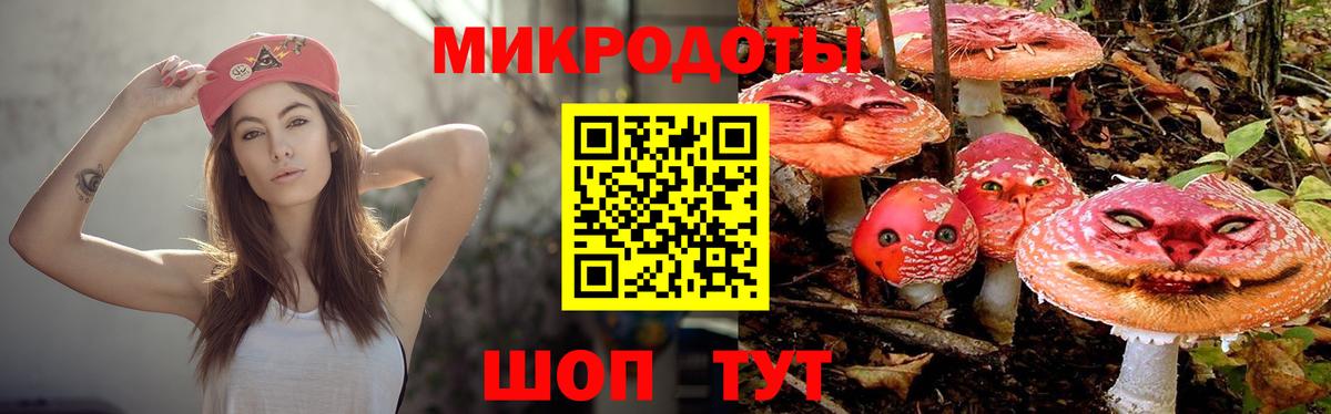 Псилоцибиновые грибы Cubensis Коммунар
